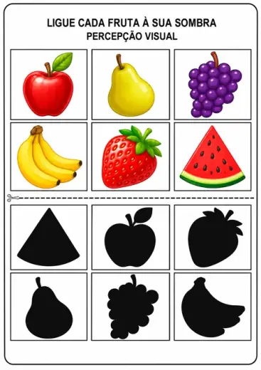 ligue cada fruta a sua sombra